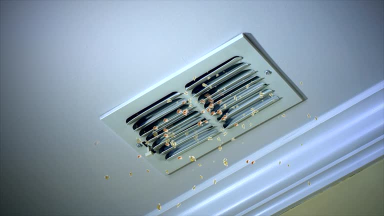 Best HVAC Air Duct Cleaning  in Scobey, MT