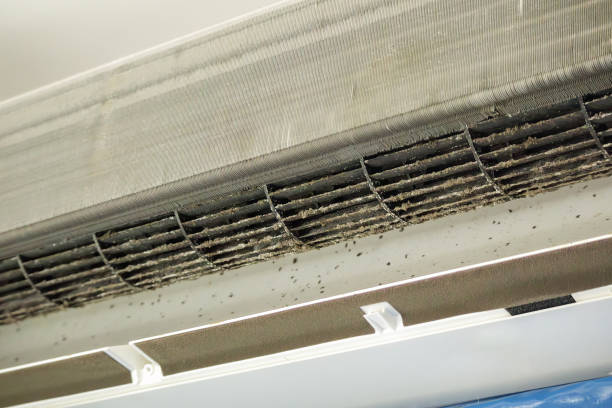 Best Best Air Duct Cleaning Near Me  in Scobey, MT